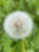 0F0F5924-DD2F-446A-BFE4-CB98F698DE1C.jpe