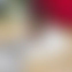 Lesson Plan 4 Picture