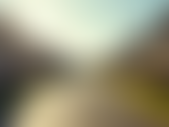 Smart Property Investment Strategies for Success in the U.S.