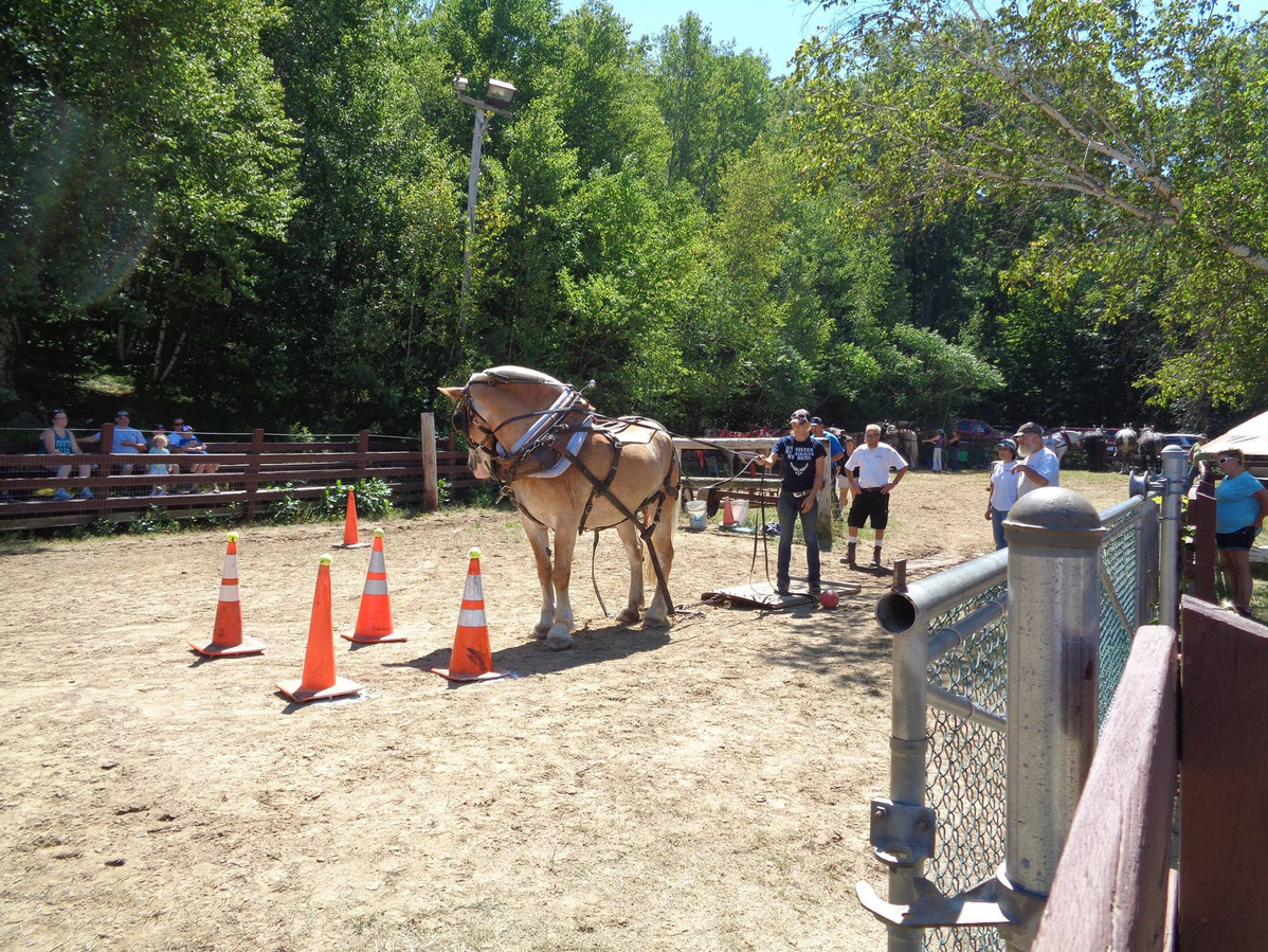 Stratham Fair 2025