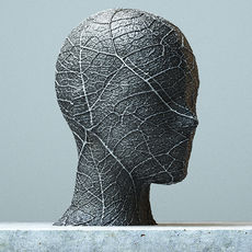 《光合作用》 (2).jpg