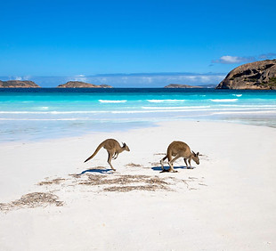 7 Day Kangaroo Island & Adelaide Seniors coach tour