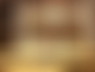 El Senado da luz verde a tres leyes que ordenan el sistema social, las finanzas y la disciplina militar 