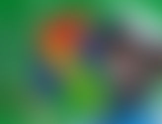 Obiang Nguema Mbasogo felicita a la militancia del PDGE por su movilización en la visita papal