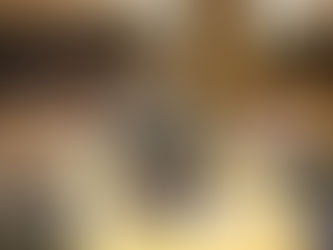 El Senado analiza el informe de la delegación parlamentaria que participó en la 3ª Sesión Ordinaria del PAP, en Sudáfrica.