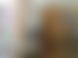 El Gobierno analiza el funcionamiento del portal web para denunciar la corrupción en G.E.