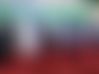 CEDEAO promete sanciones ejemplares para detractores del retorno del gobierno civil en Guinea-Bissau.