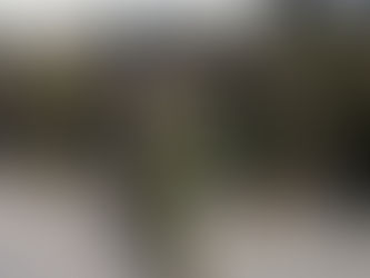 Más de una centena de policías kenianos se involucran en la guerra estallada contra pandilleros en Haití.