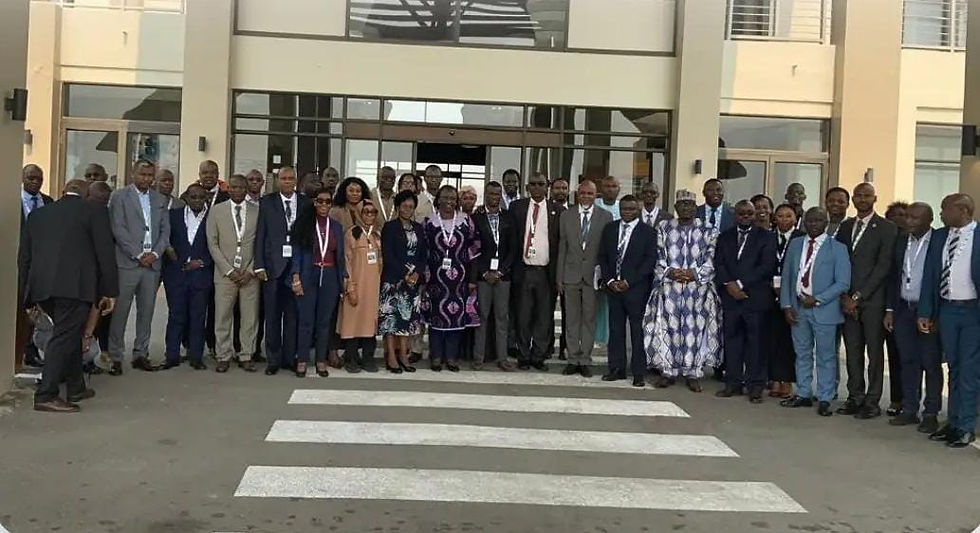Guinea Ecuatorial toma parte activa en una cumbre sanitaria de la UA en Lusaka, Zambia