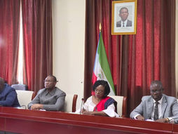 El Parlamento valida el informe sobre la misión electoral en Congo y avala el desarrollo de los comicios 