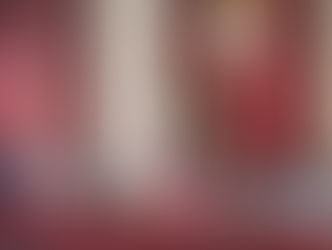 El Parlamento valida el informe sobre la misión electoral en Congo y avala el desarrollo de los comicios 