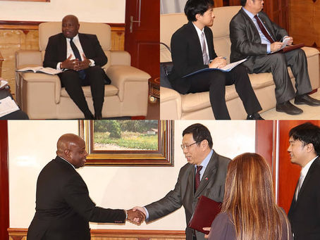 El proyecto de plantación de arroz en Dumasi podría ofrecer su primera cosecha en enero del 2025.