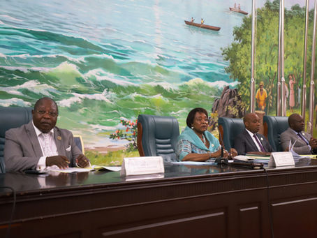 El Senado aprueba el acta y dictamen del Proyecto de Ley de Minas en la República de Guinea Ecuatorial
