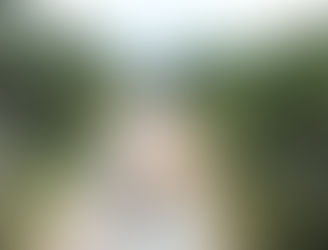 El Ejecutivo exige medidas correctivas ante el lento avance de la carretera Bolondo–Akoga