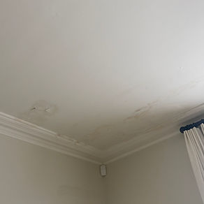 Water damaged ceiling needing a Painter & Decorator.