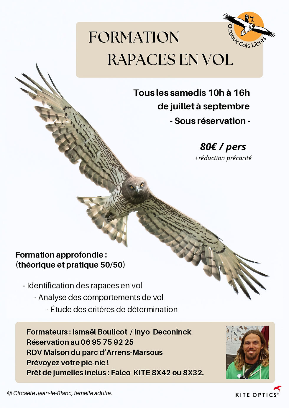 Formation rapaces en vol
