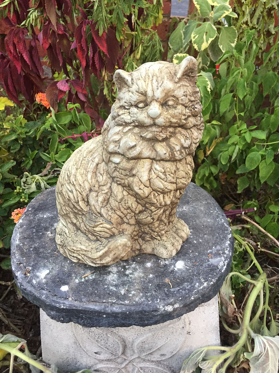 #631 Kitty