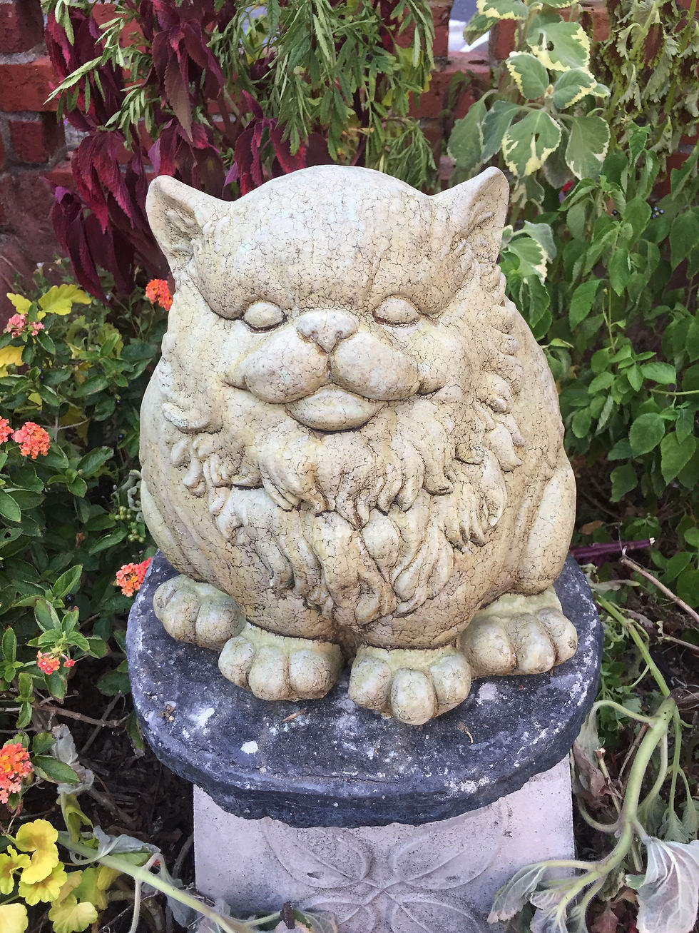 #632 Fat Cat