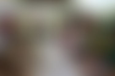 Con exámenes clínicos se identifican perros potencialmente peligrosos.