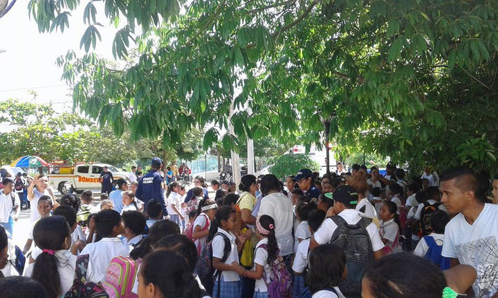 Pánico en colegio de Puerto Colombia por presencia de enjambre de abejas