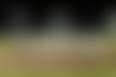 La fiesta de la ‘pelota caliente’ volvió a Montecristo en el estadio Édgar Rentería