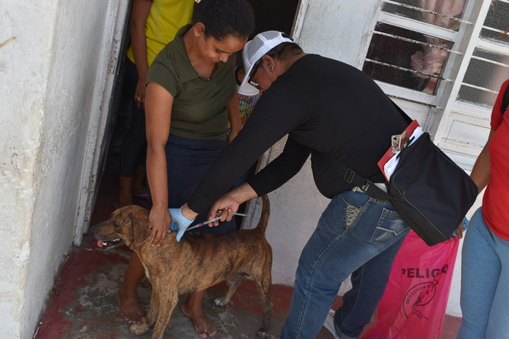 Jornada de desratización y recolección de inservibles, en Malambo.