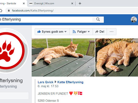 Jagten på Jensen (5