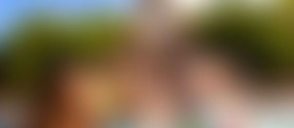 Walt Disney World - Sun and Fun Room Offer