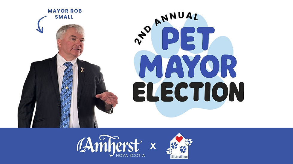 Mayor For The Day 2025 (Website).jpg