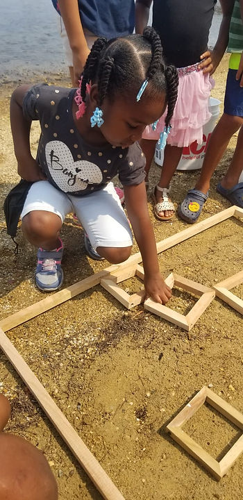 The beach microplastic survey BICA Roatan