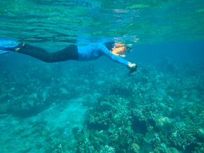 Protection and Restoration: Building Stronger Communities and Healthier Reefs