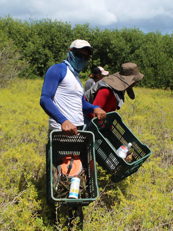 Ocean Protectors, BICA Guanaja
