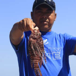 Lionfish Derby 2026, Utila