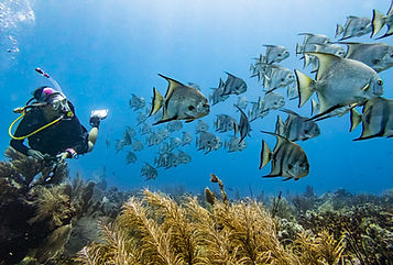 Photo Contest 2023 Roatan Marine Park