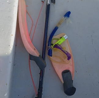 Marine Patrols Enforcing Regulations Roatan Marine Park