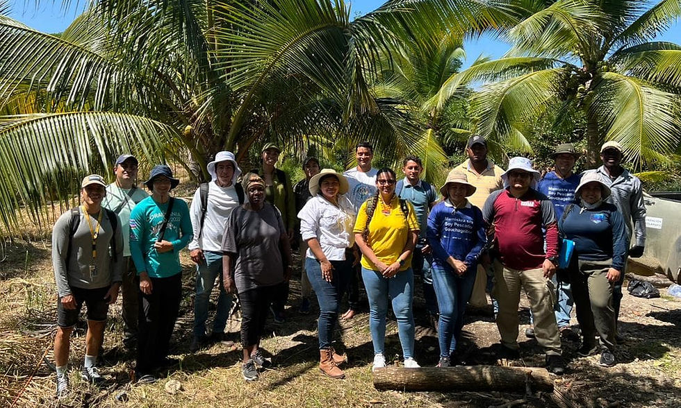 AMATELA Our Values. AMATELA Team