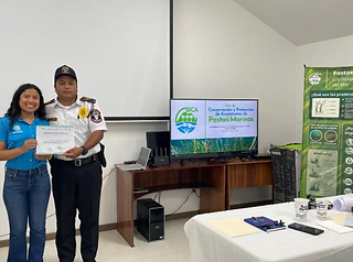 Seagrass: Roatan's Overlooked Guardian