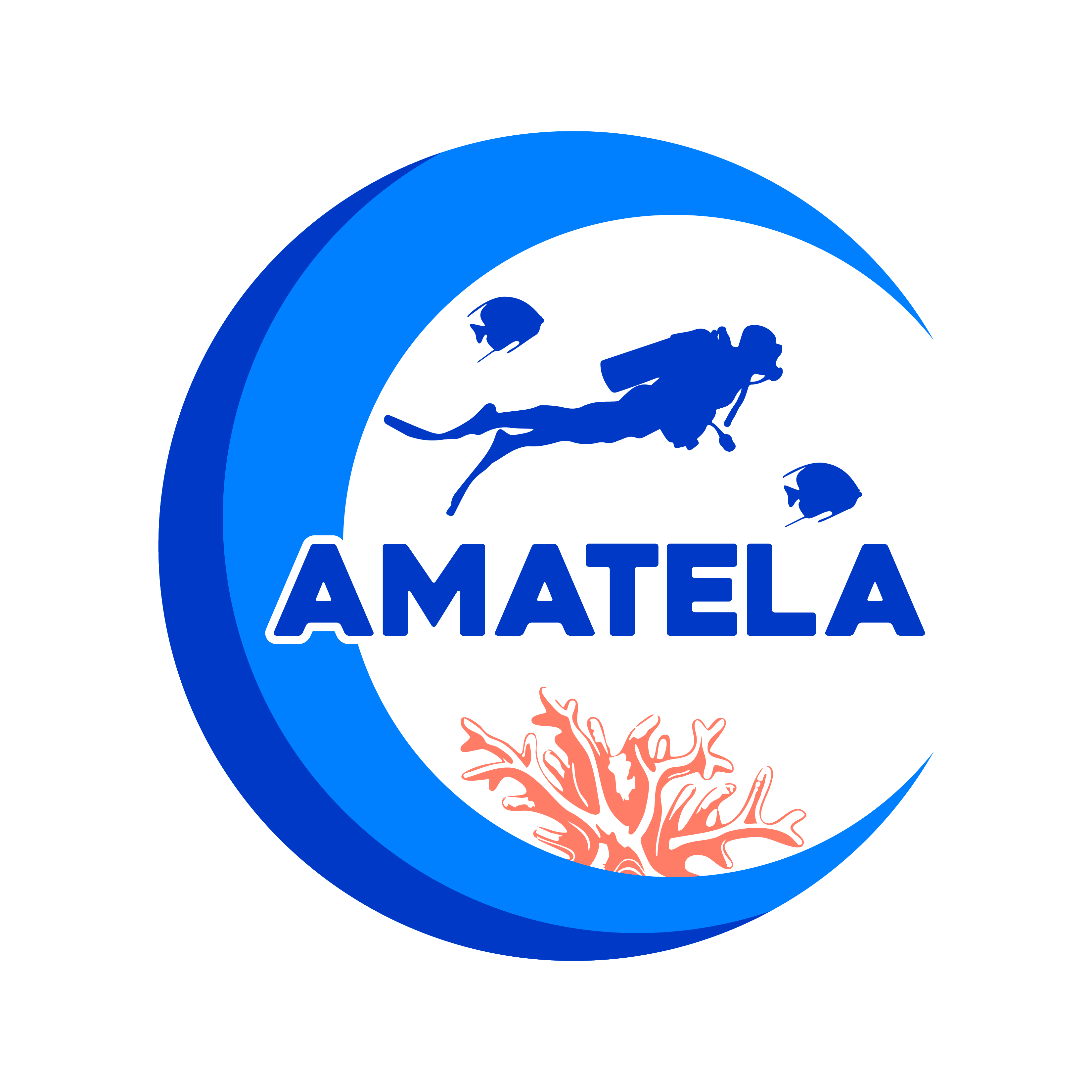 Foto del escritor: AMATELA