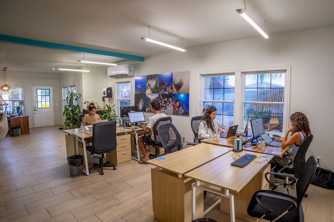 Live & Work Remotely in Roatan, Honduras Roatan BeachDeskCoworking Space