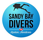 SandyBay Divers Coral Restoration