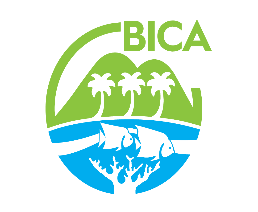 Writer: BICA