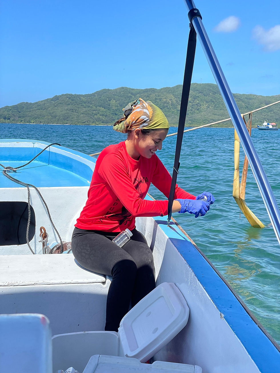 From the Field: Research and Monitoring Updates Across the Bay Islands