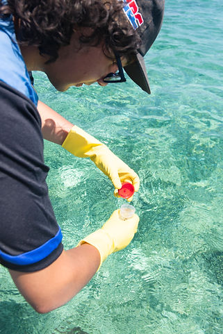 Water Quality Monitoring, Reaserch and Monitoring BICA Roatan