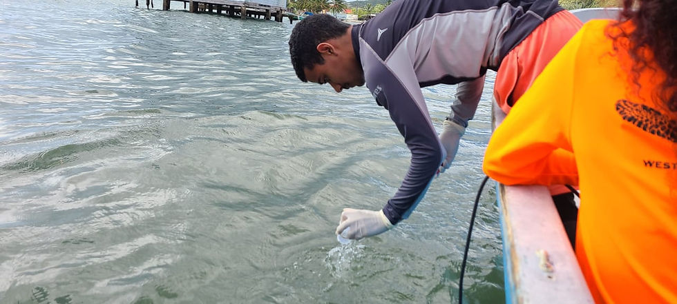 Water Quality BICA Guanaja