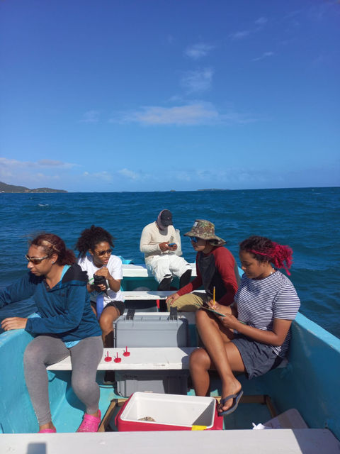 Water Quality BICA Guanaja