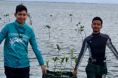 Bays Islands Conservation Association, BICA Honduras Mangrovos