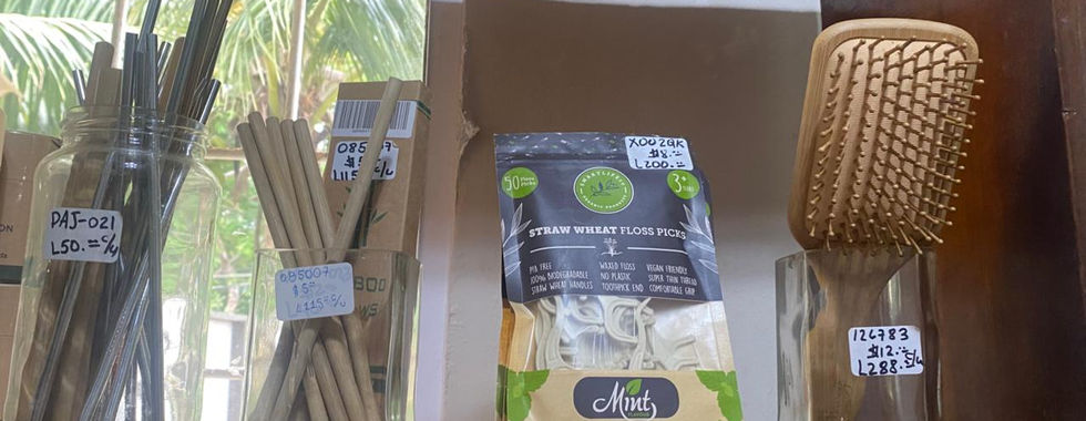 BICA's EcoShop, Donation Shop and Support