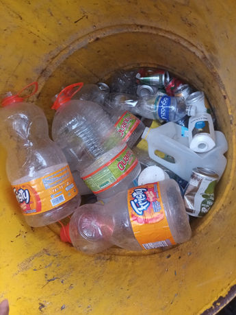 Waste Separation, BICA Roatan, Pensacola