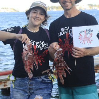 Lionfish Derby 2026, Utila