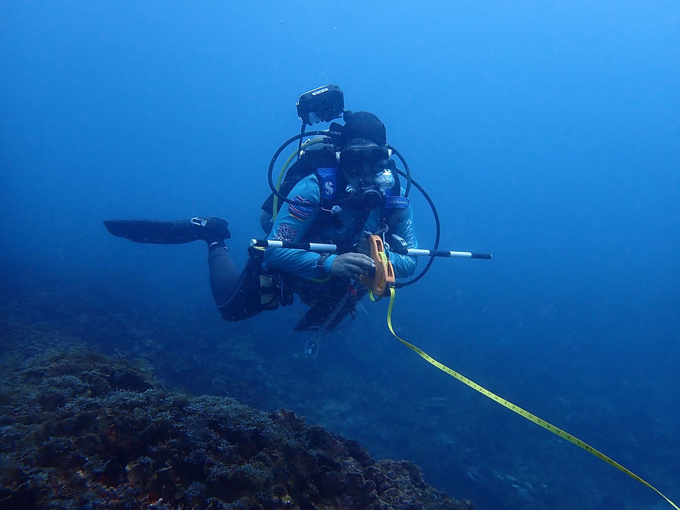 Reef Monitoring, Tela, AMATELA